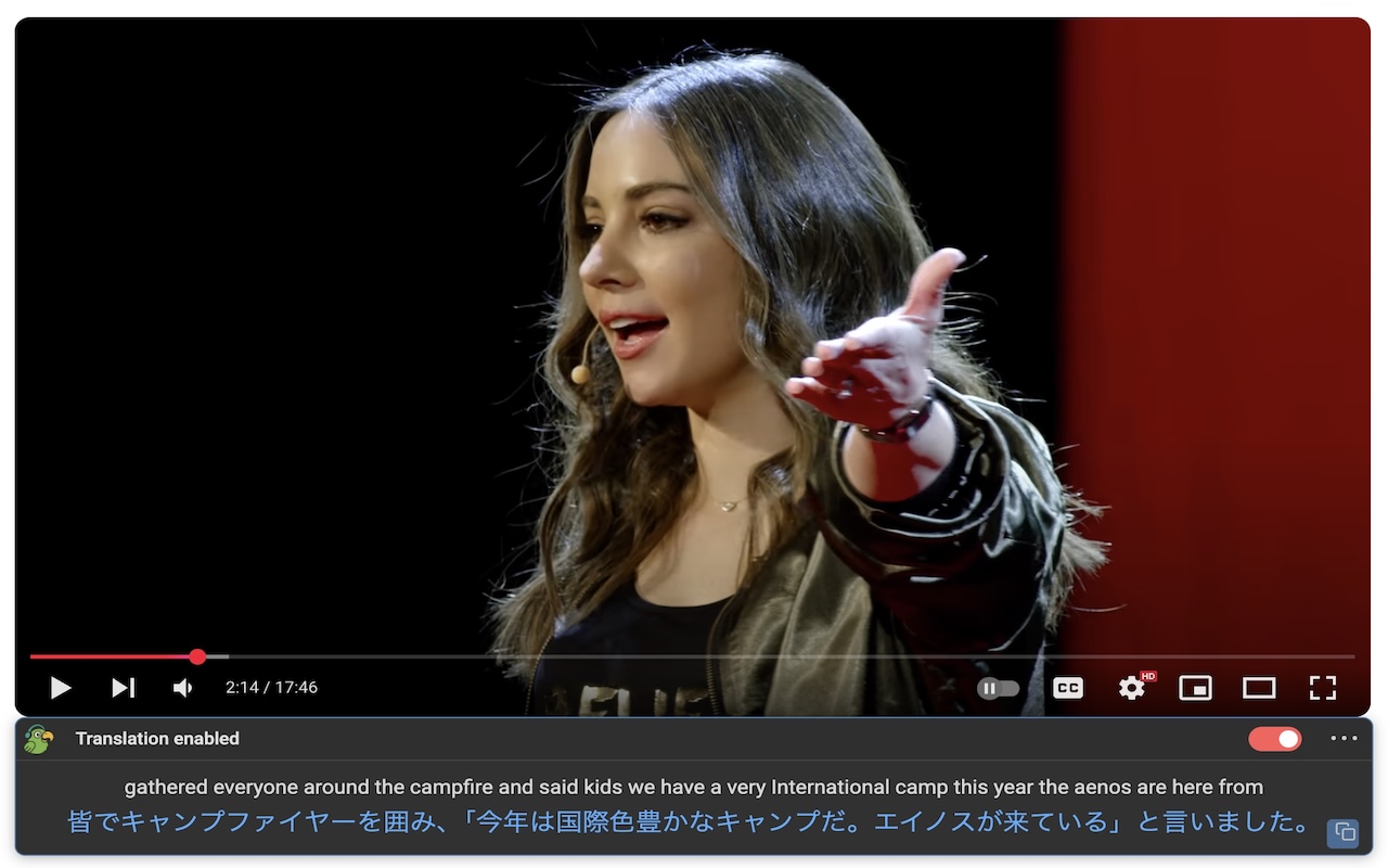 TransParrot: YouTube翻译和双语字幕 chrome谷歌浏览器插件_扩展第4张截图
