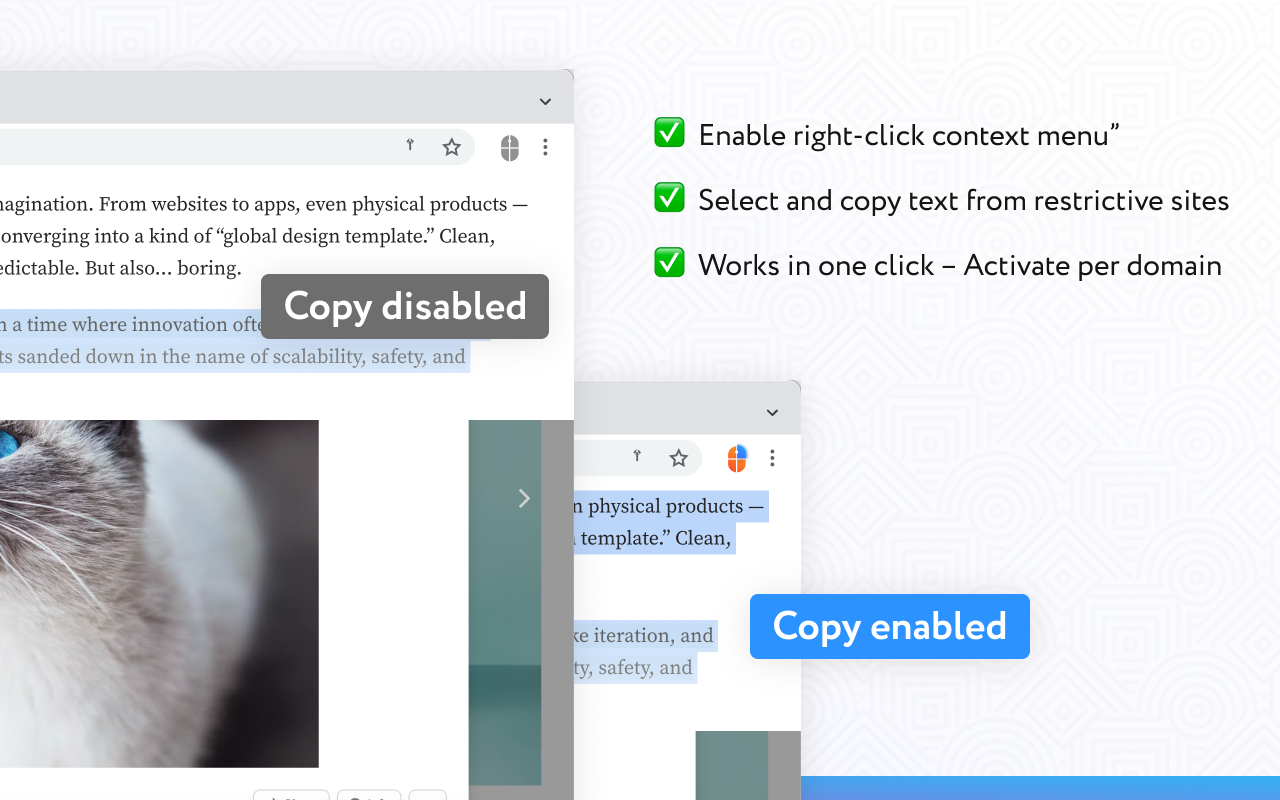 啟用右鍵選單 - 允許複製 chrome谷歌浏览器插件_扩展第4张截图