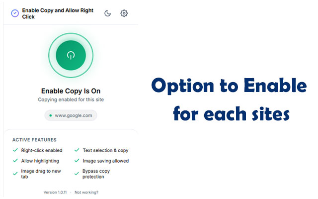 启用复制和允许右键点击 chrome谷歌浏览器插件_扩展第4张截图
