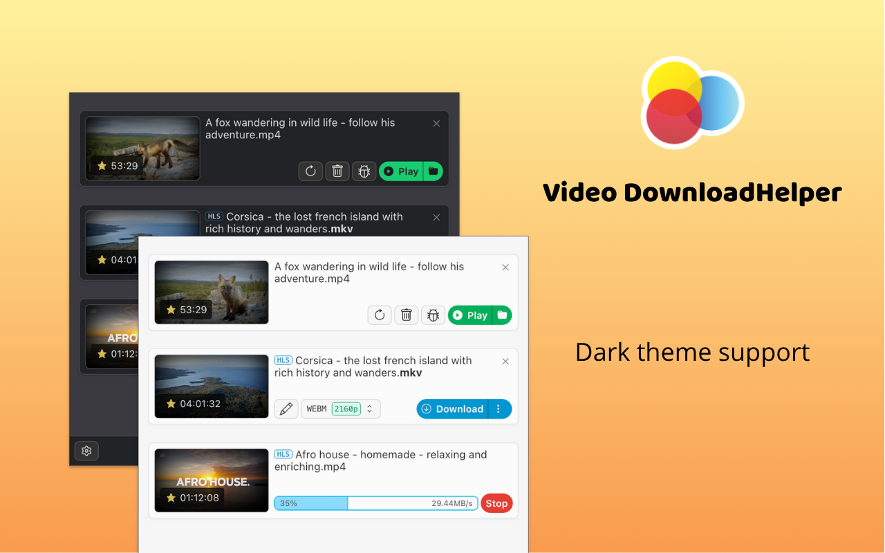 Video DownloadHelper - 截图 3