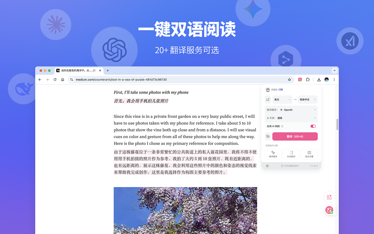沉浸式翻译 - 网页翻译插件 | PDF翻译 | 免费 - 截图 2