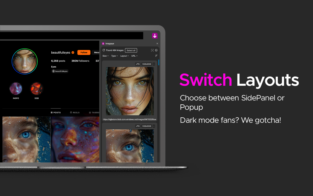 批量图片下载器 - Imageye - 截图 2