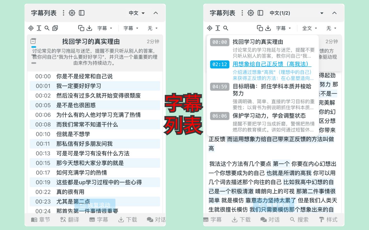 vCaptions - 网站视频字幕列表 - 截图 5