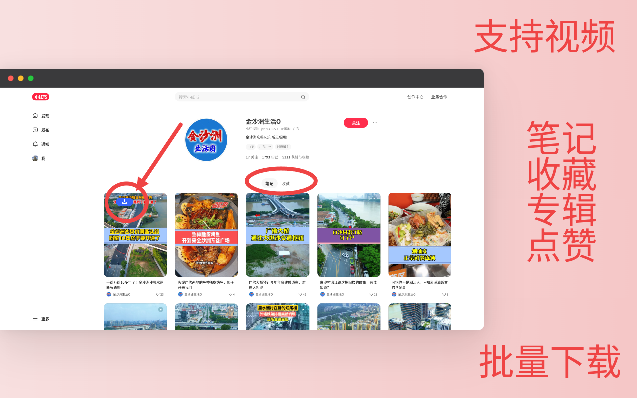 小草莓 - 支持小红书视频批量下载 - 截图 2