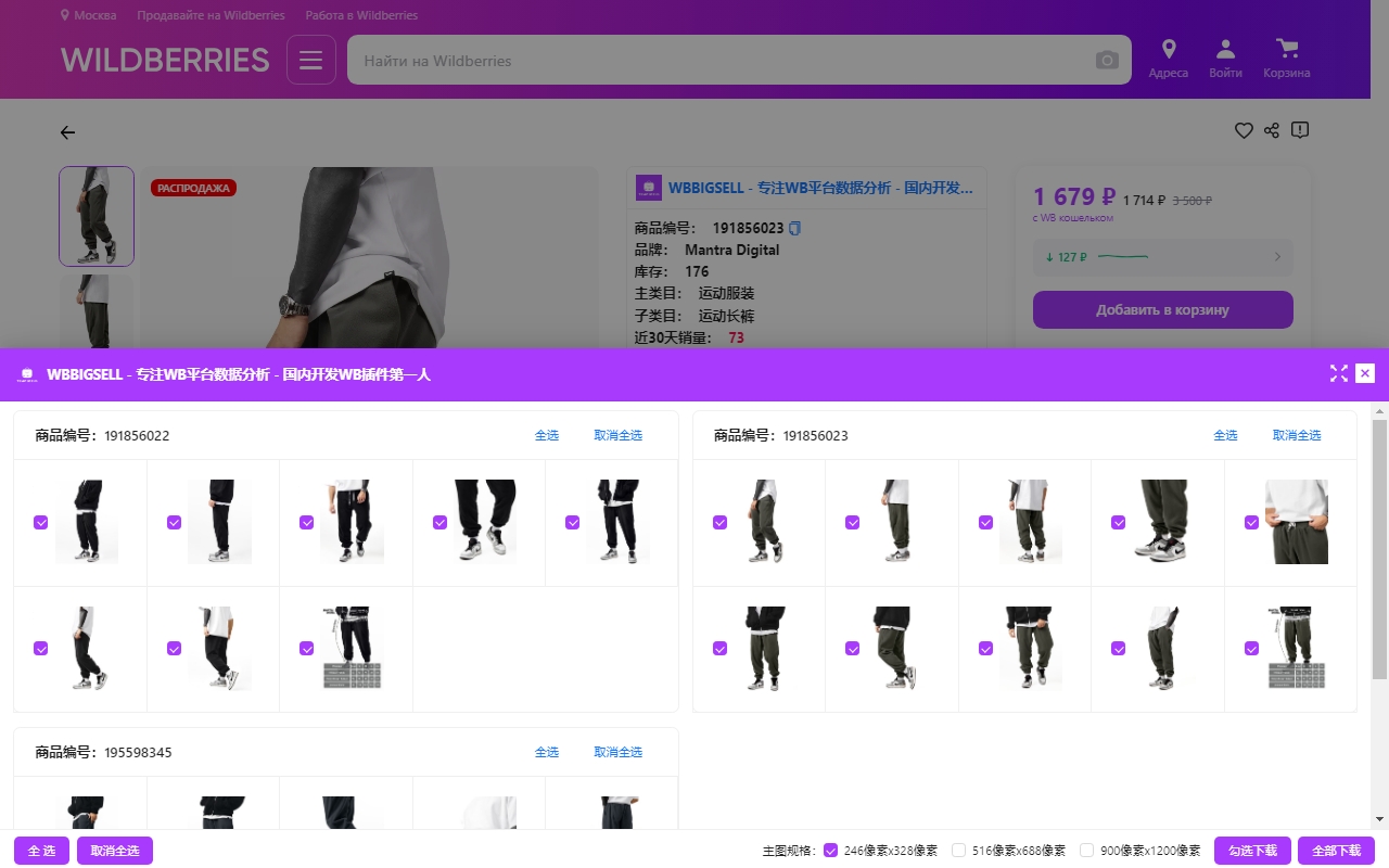 WBBIGSELL - 专注WB平台数据分析 - 国内开发WB插件第一人 - 截图 2