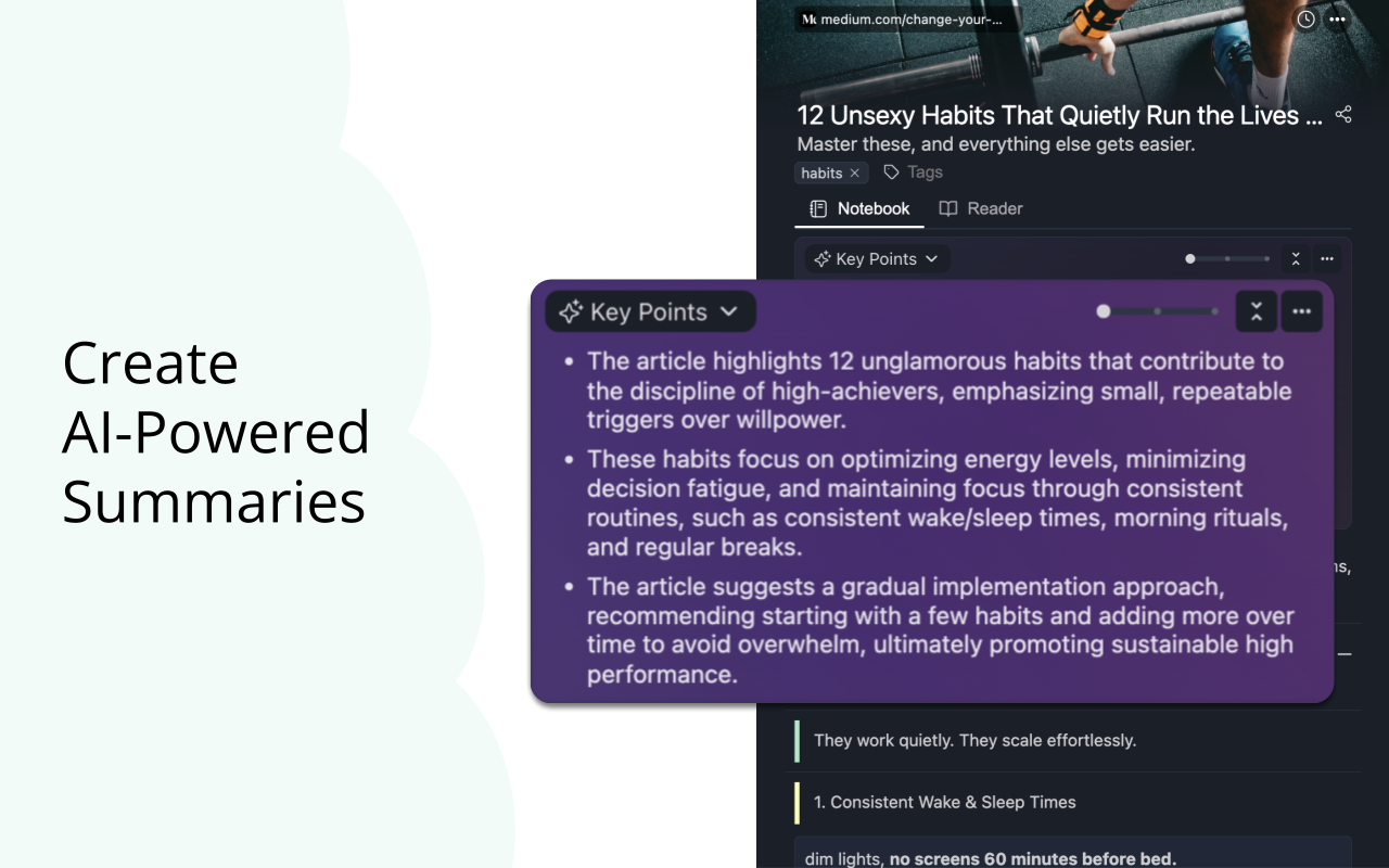 Web Highlights: PDF & Web Highlighter + Notes & AI Summary - 截图 3