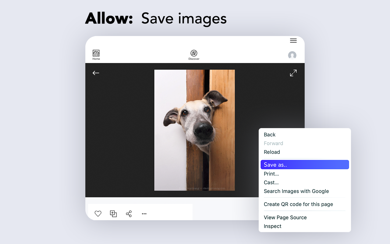 Enable right click - allow copy & select - 截图 2
