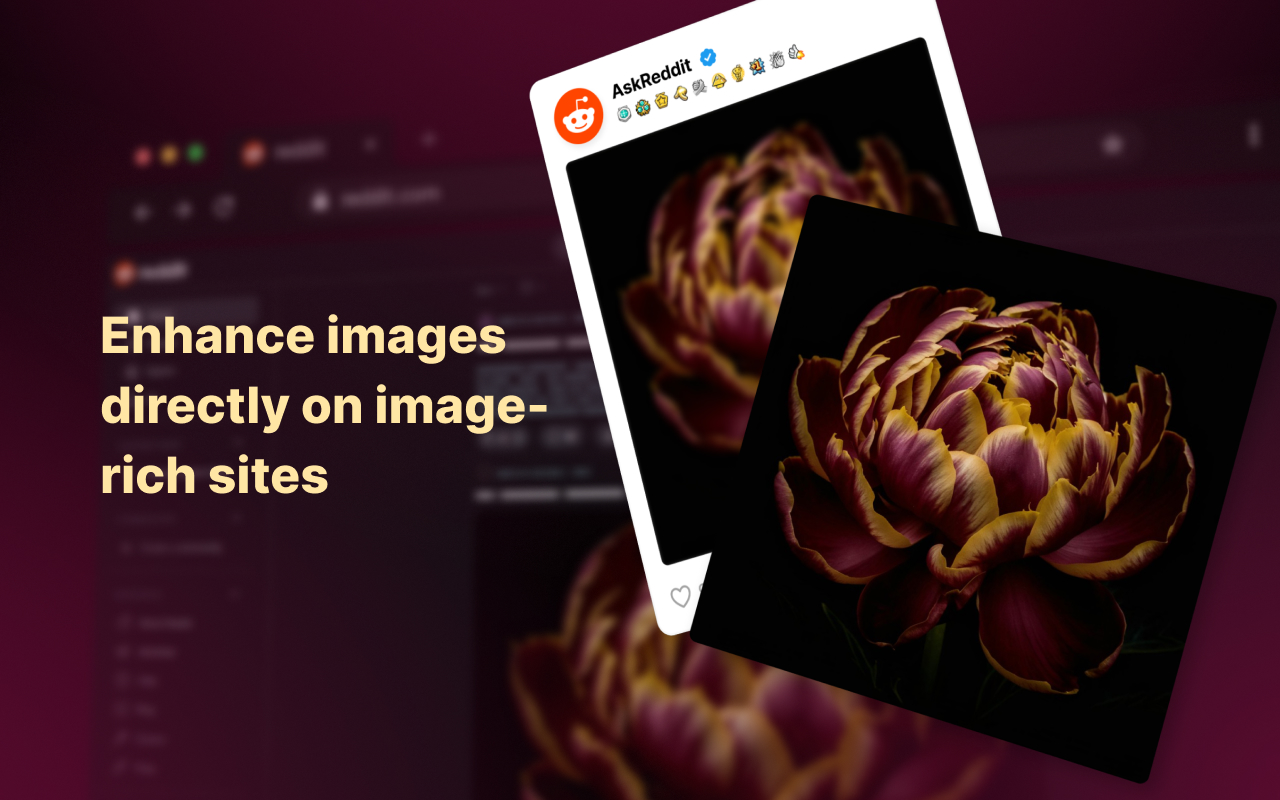 Enhanced Image Viewer - 截图 5