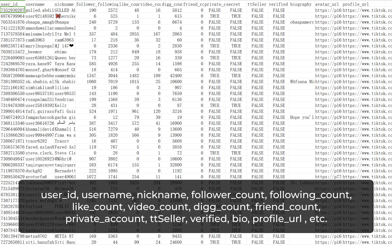 TikTok 粉丝导出工具 - 截图 3