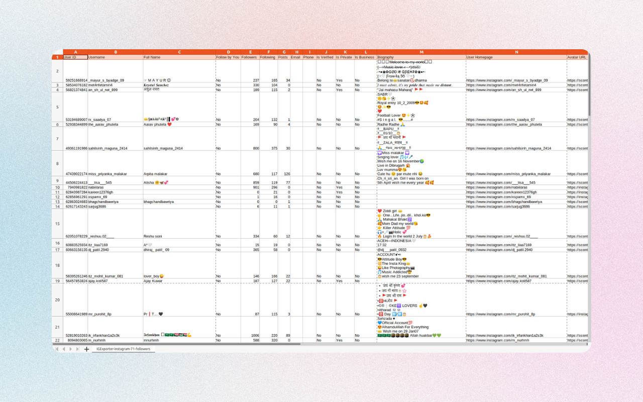 IExporter - Instagram™ 粉丝导出工具 - 截图 2