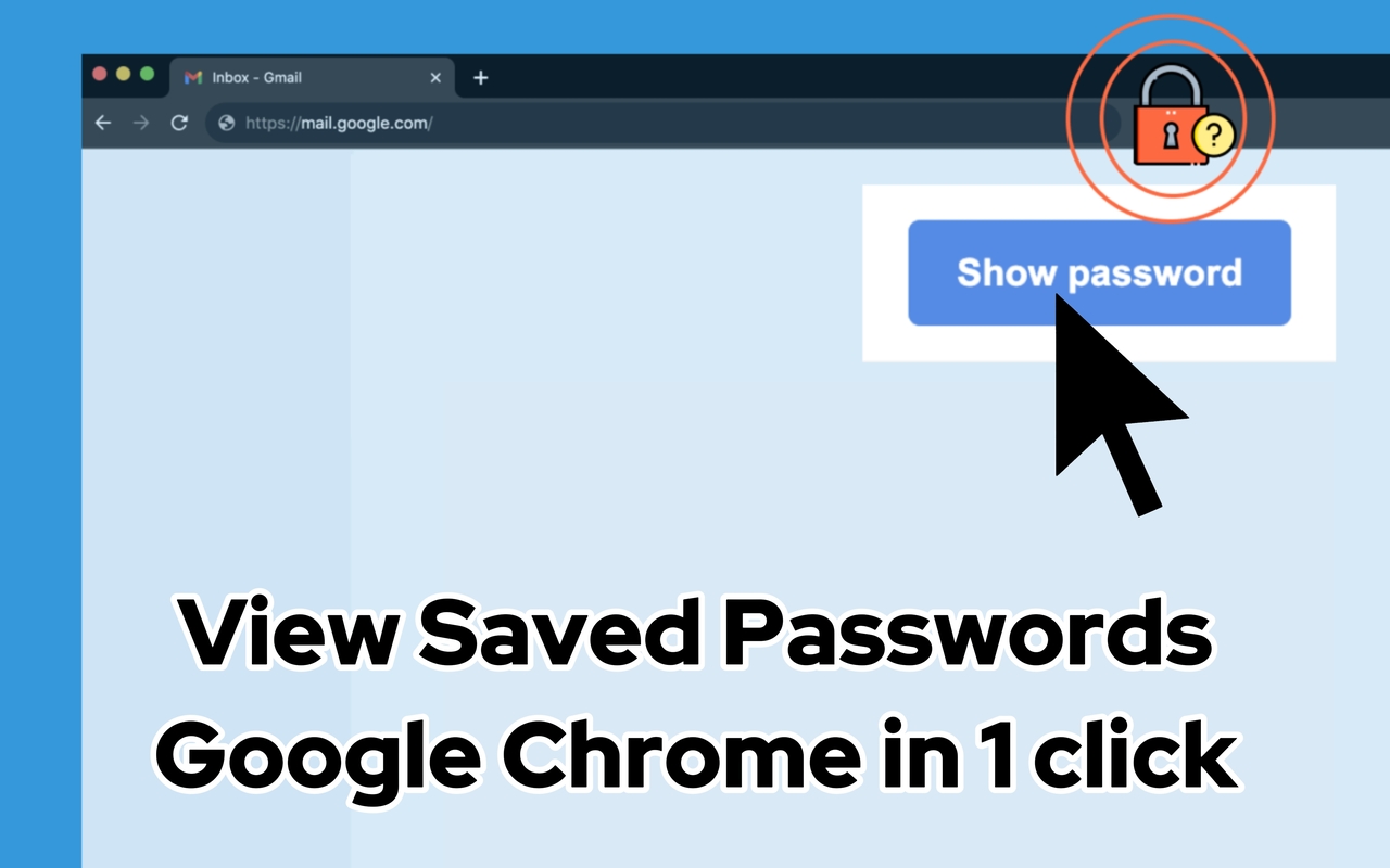 保存的密码 - 截图 3