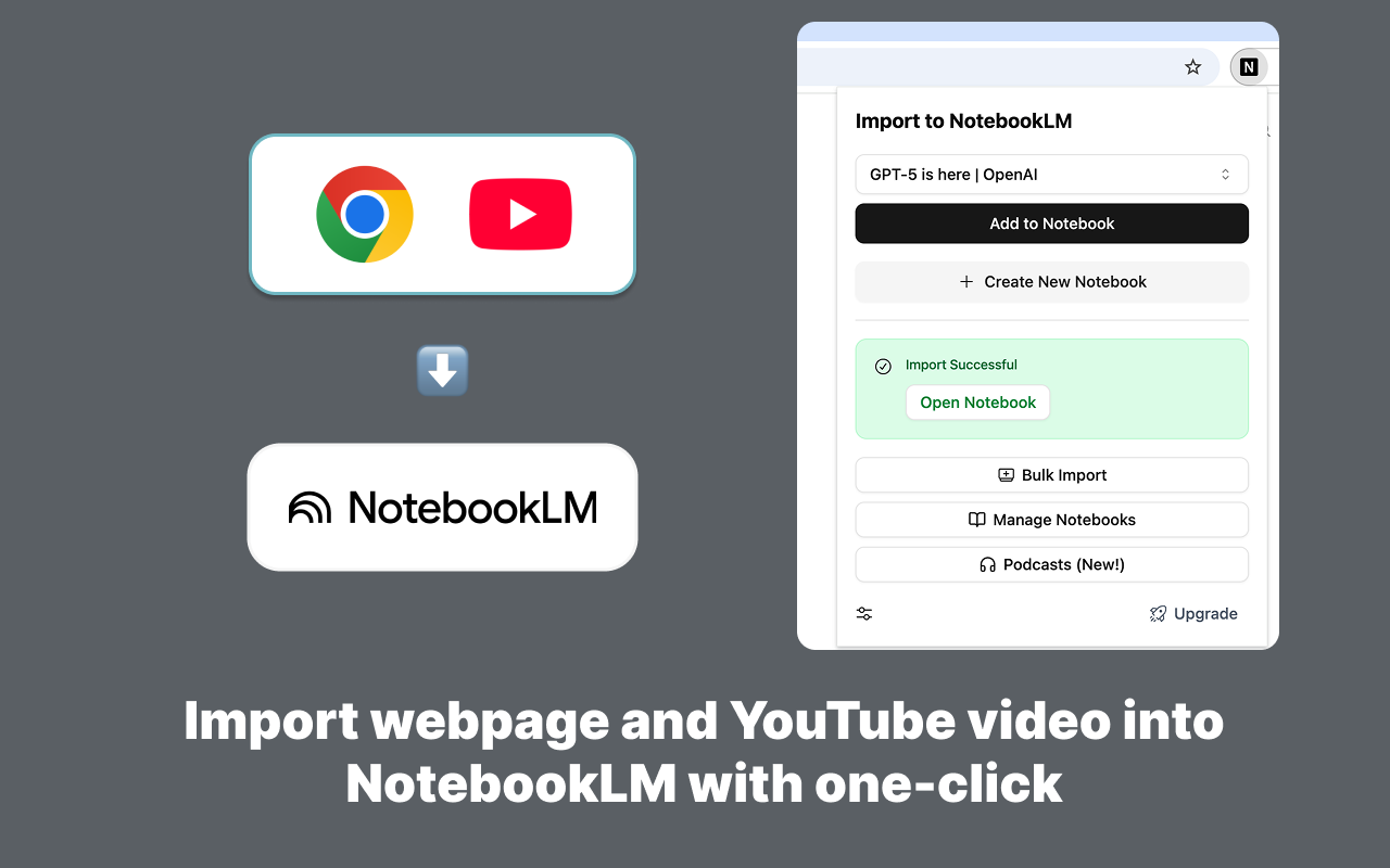 NotebookLM 网页导入器 - 截图 2
