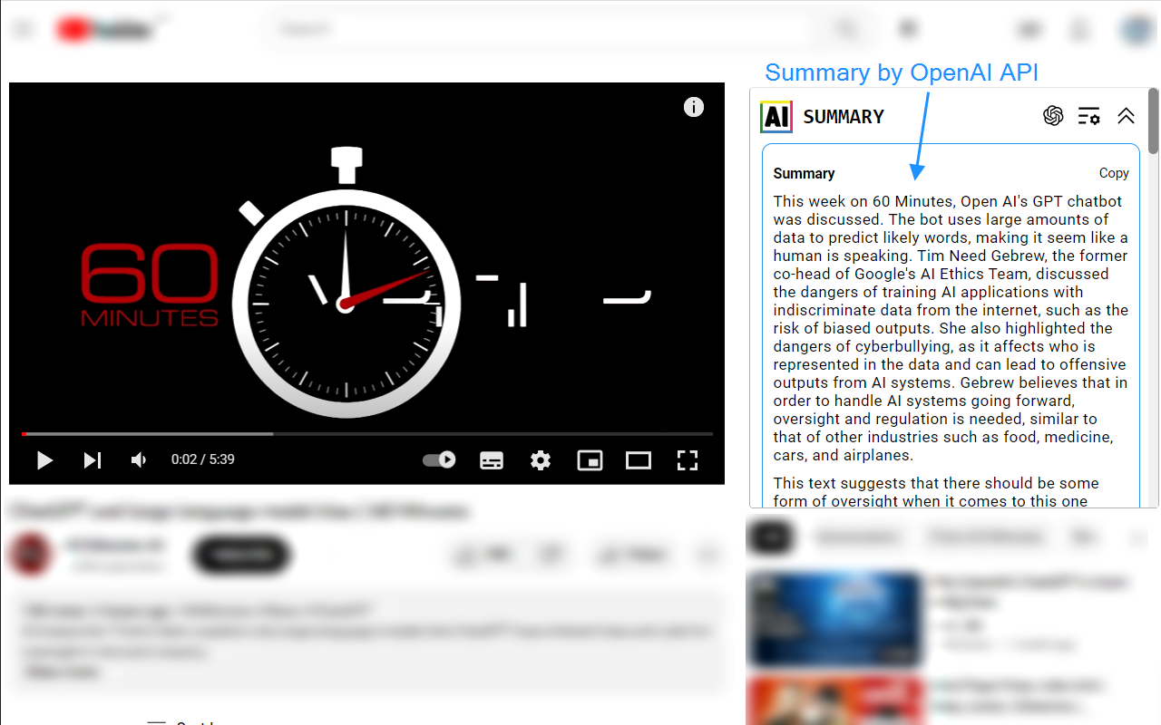 Youtube Transcript AI Summary - 截图 2