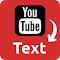 YouTube Transcript - YouTube 视频转录文本