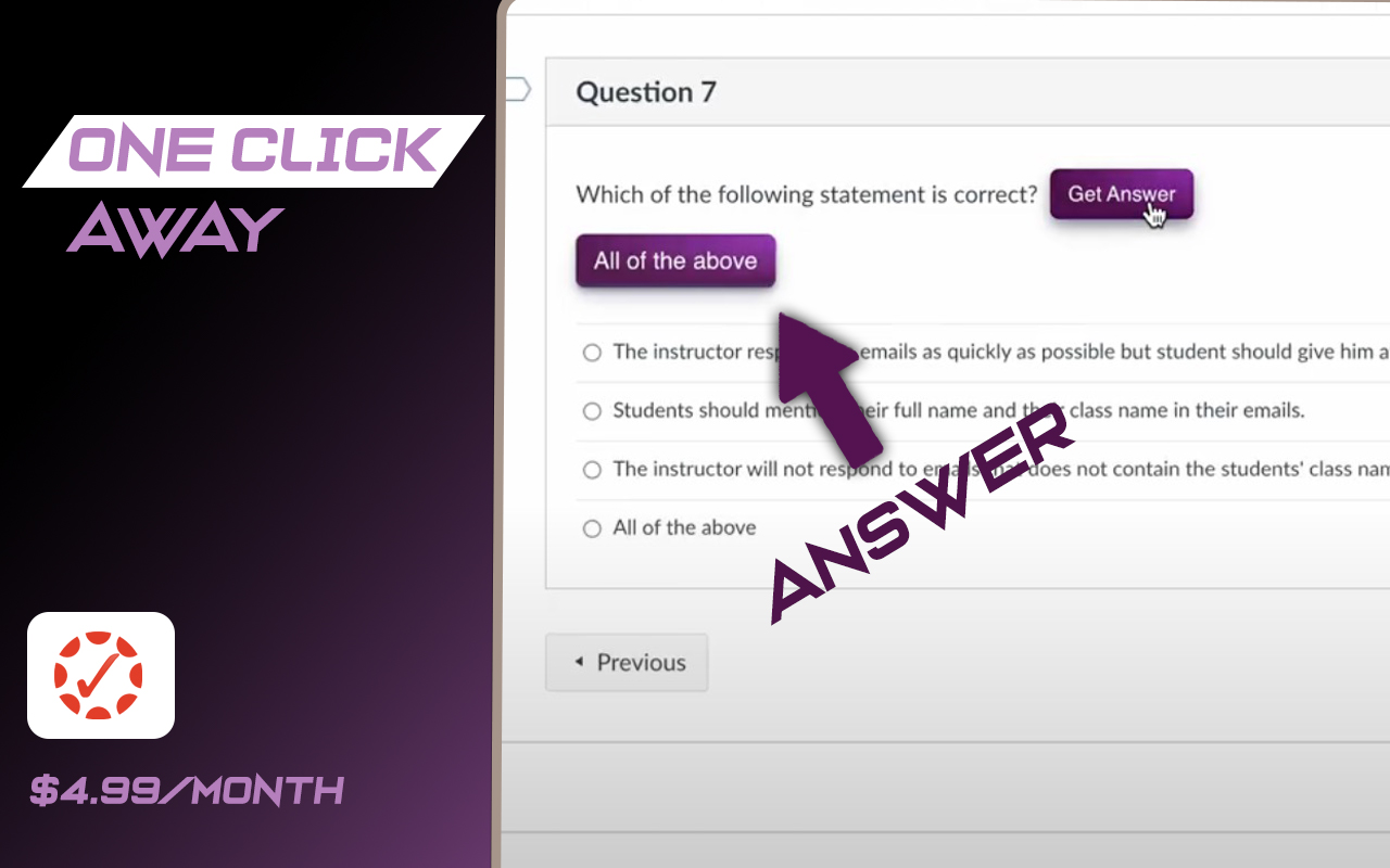 Canvas Quiz Solver - 截图 2