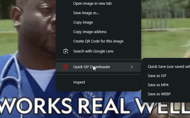 Quick GIF Downloader chrome谷歌浏览器插件_扩展第1张截图
