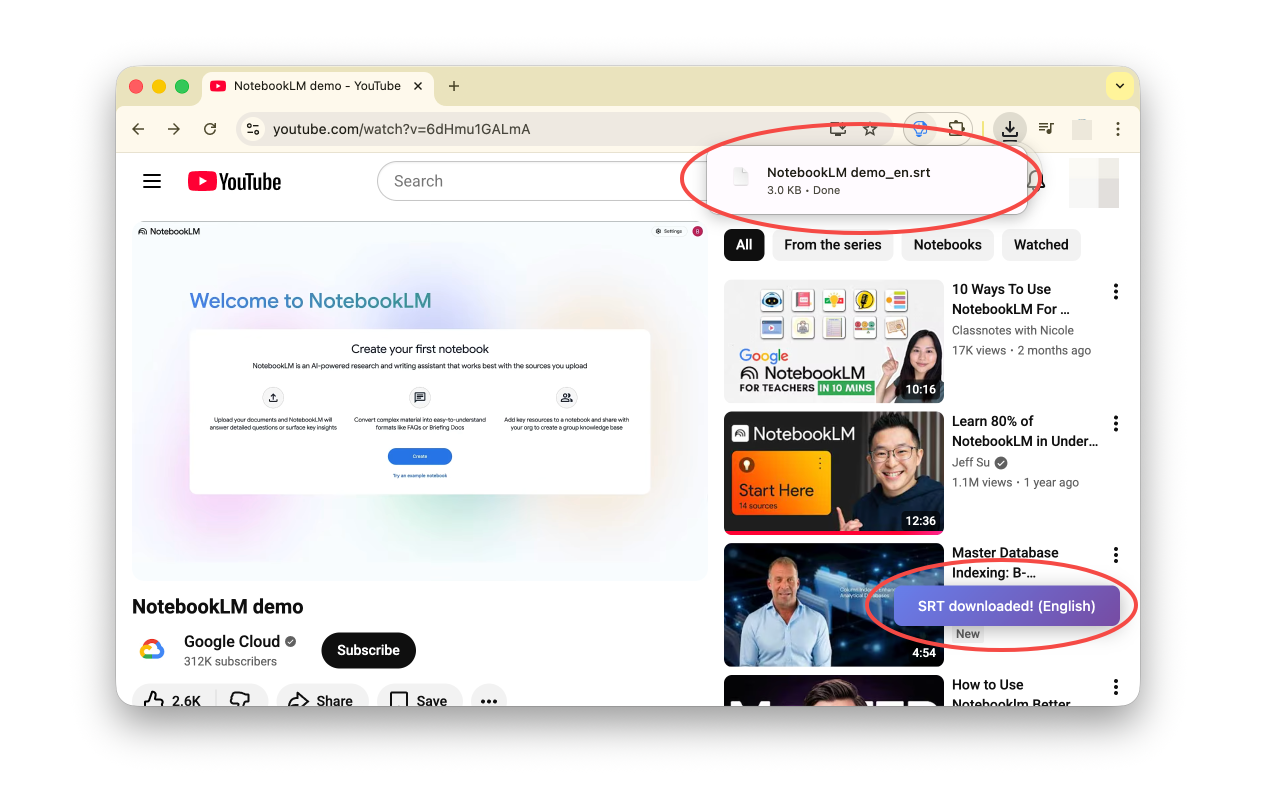 YouTube Subtitle Downloader chrome谷歌浏览器插件_扩展第1张截图