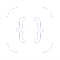 JSON Formatter Pro