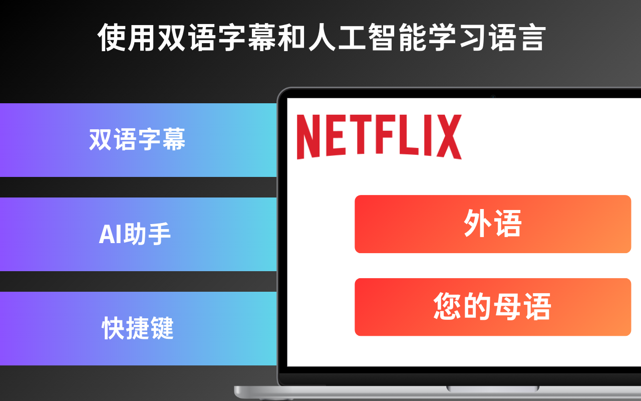 Netflix 双字幕大师 - 截图 3