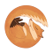 FoxyCrown Cookie Manager