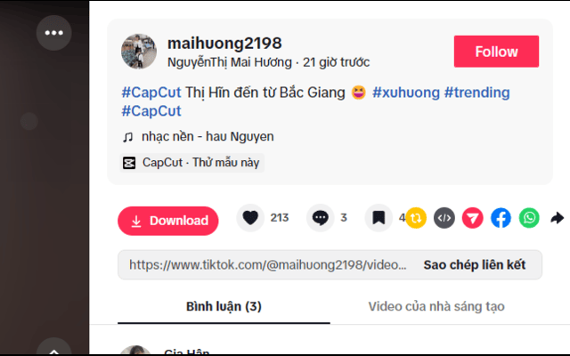 下载无水印TikTok视频 - 截图 3