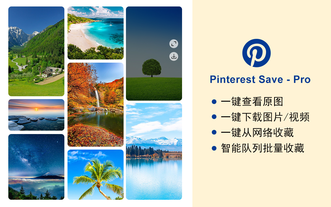 Pinterest 图片下载器 | 富图 - 截图 2