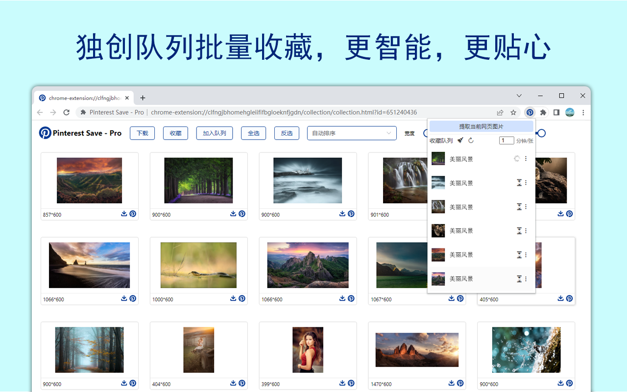Pinterest 图片下载器 | 富图 - 截图 4