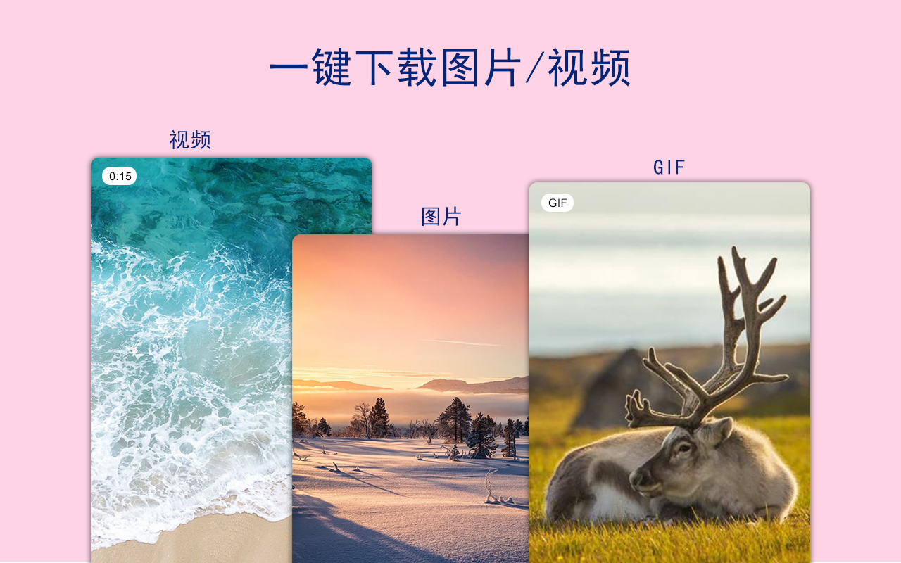Pinterest 图片下载器 | 富图 - 截图 5