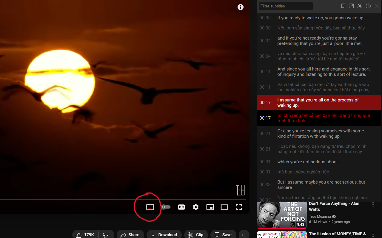Seek Subtitles for YouTube - 截图 5