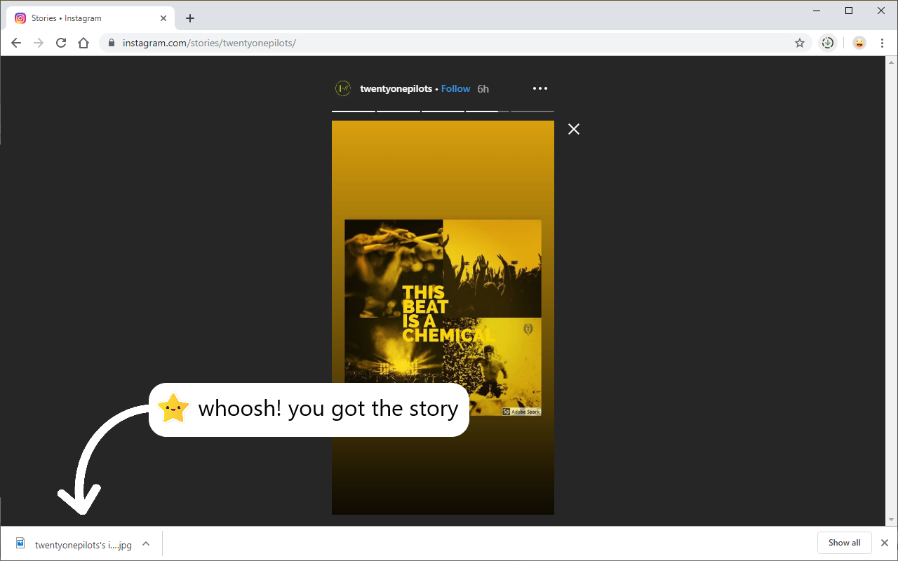 Story Saver - 截图 3