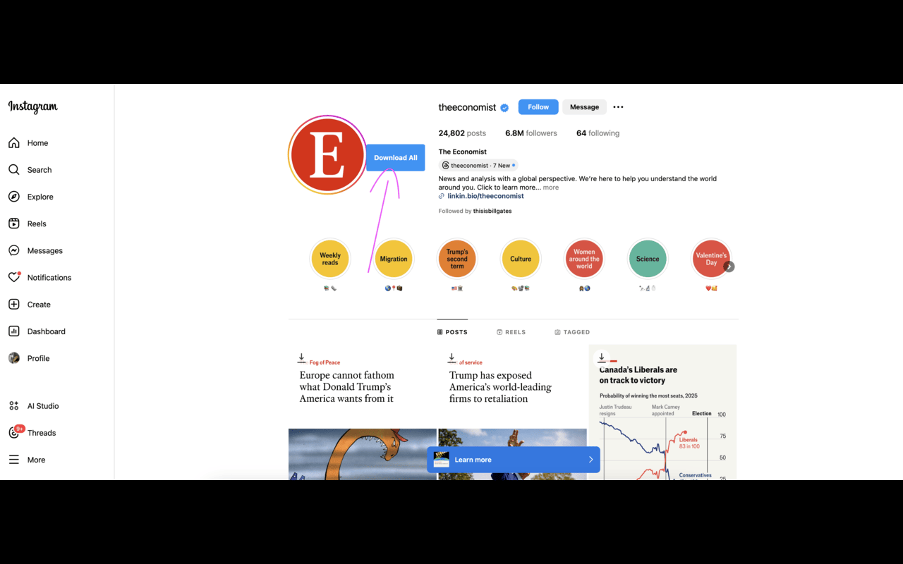 Story Saver - 截图 4