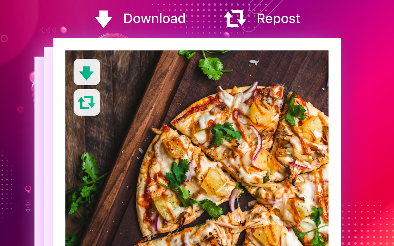 Downloader for Instagram - Promaster - 截图 4