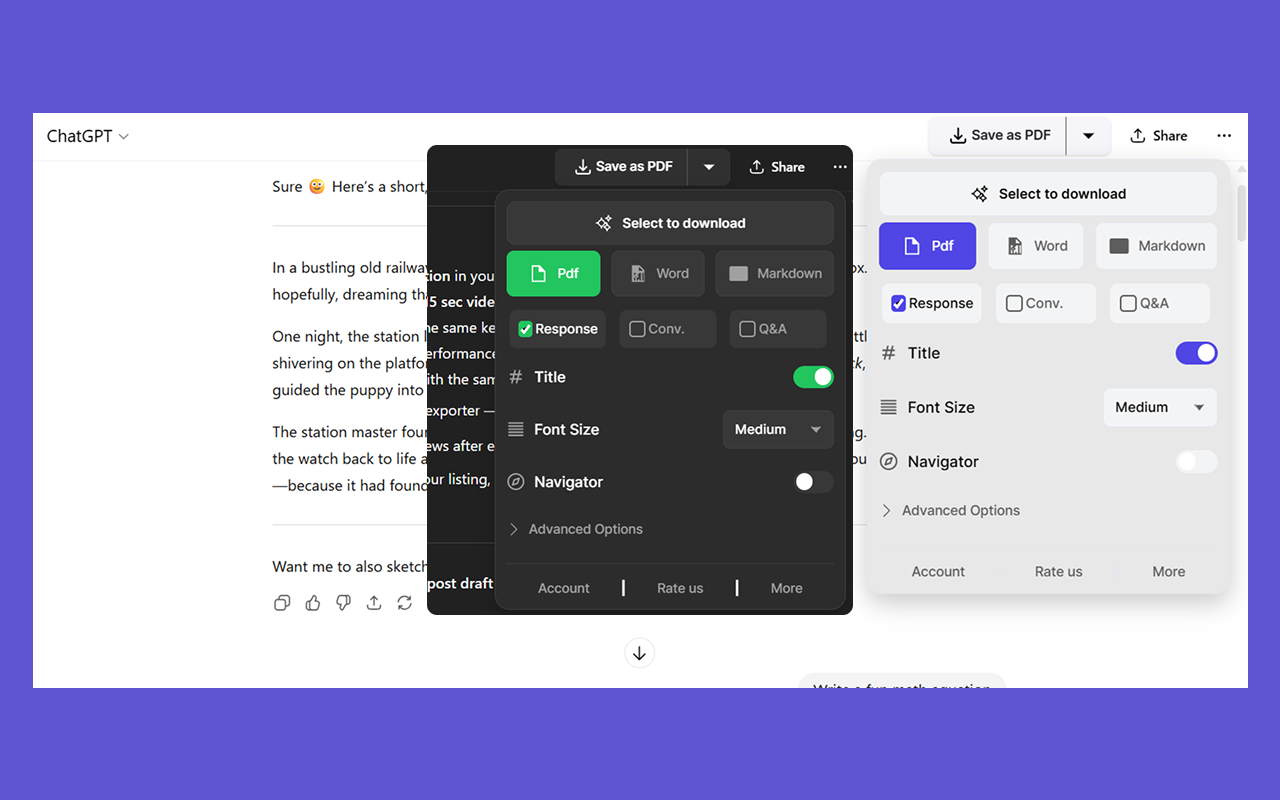 ChatGPT 转 PDF、Word、Markdown 和 Google Docs - 截图 2