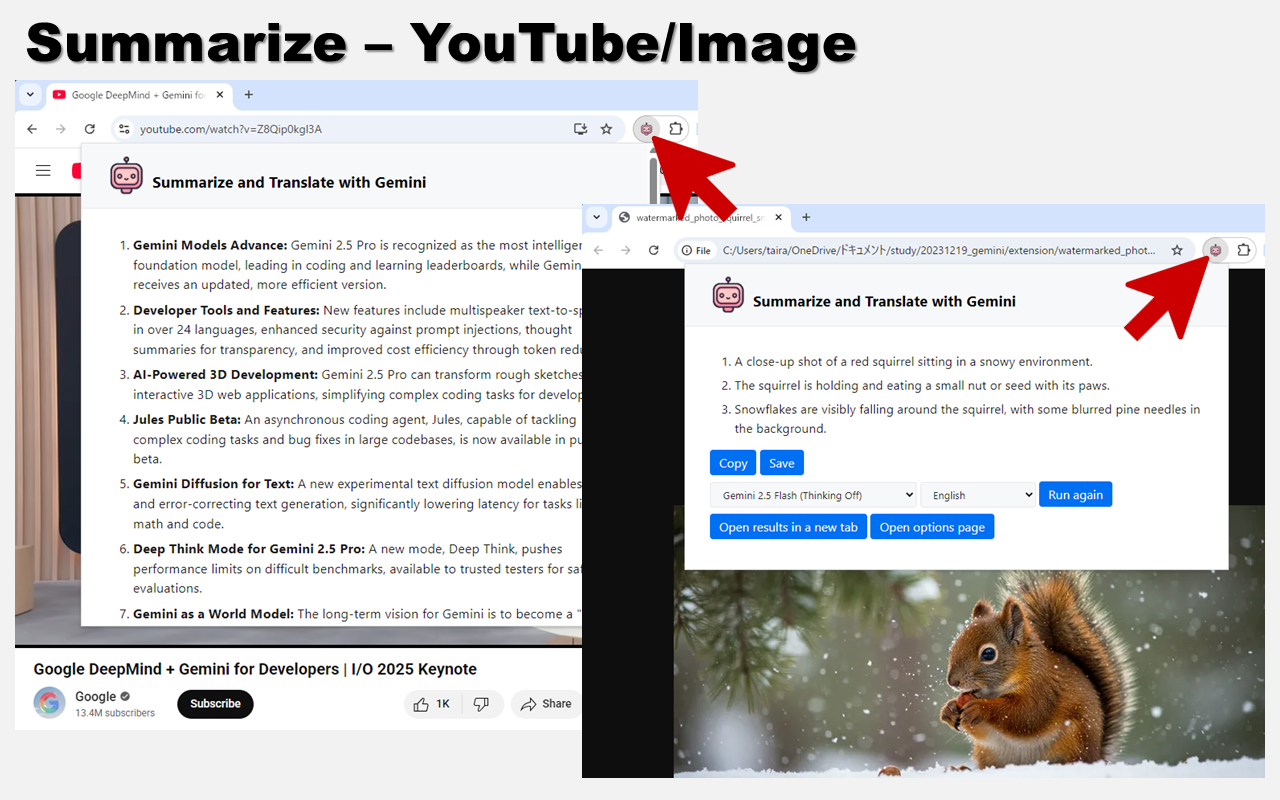使用 Gemini 总结与翻译 - 截图 5