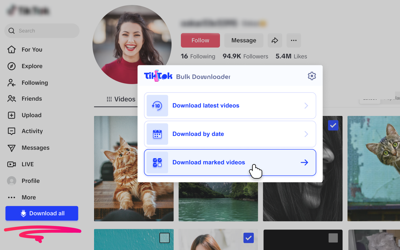 TikTok视频下载器 – 批量保存 - 截图 2