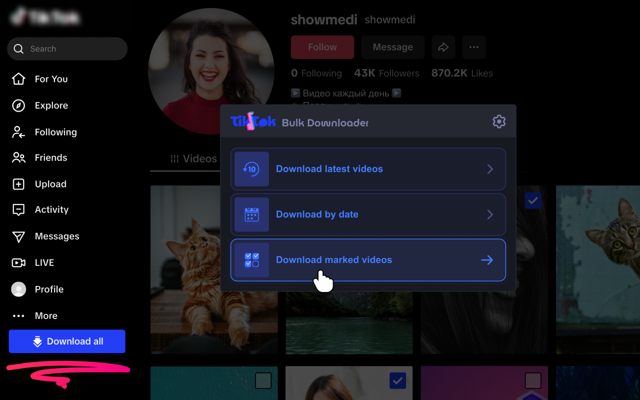 TikTok视频下载器 – 批量保存 - 截图 3