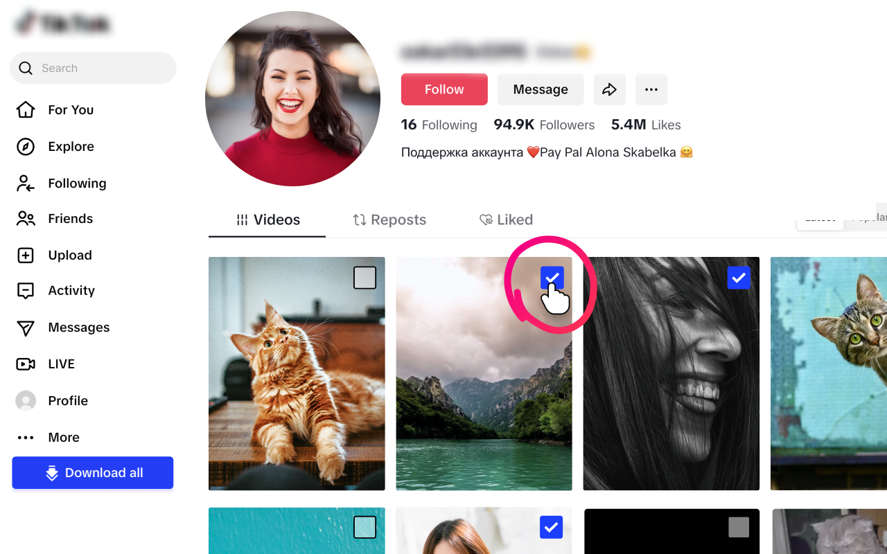 TikTok视频下载器 – 批量保存 - 截图 4