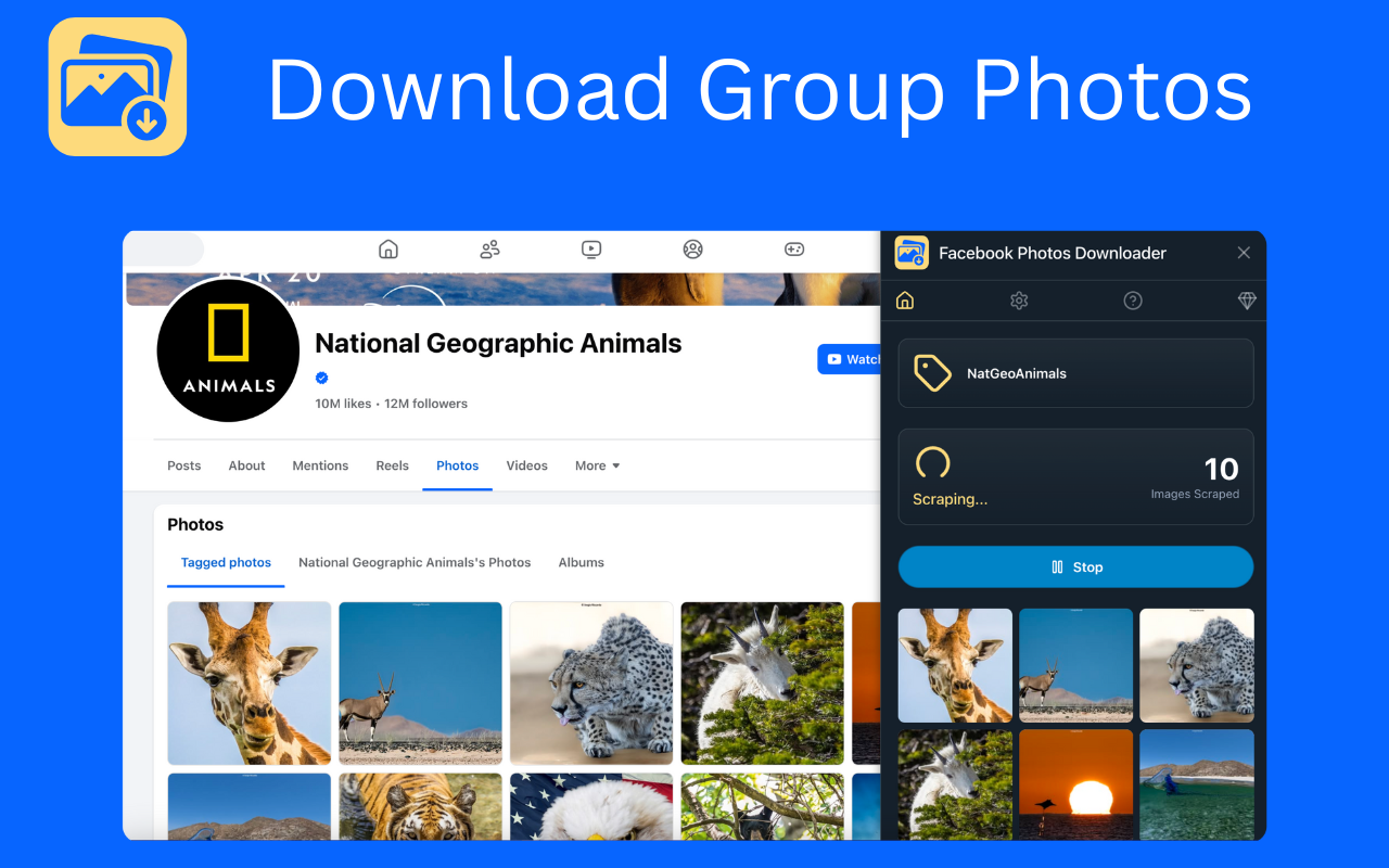 FB Photos Downloader - 截图 1