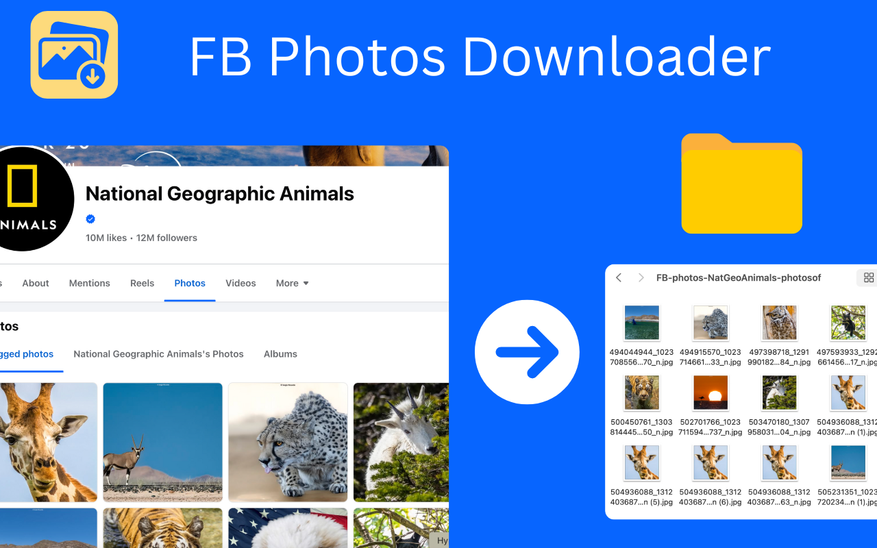 FB Photos Downloader - 截图 2