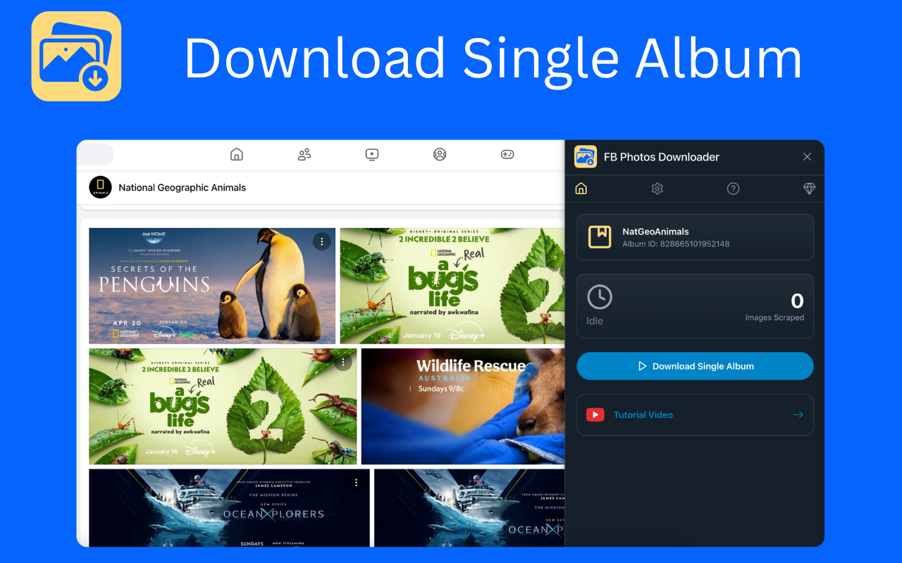 FB Photos Downloader - 截图 4
