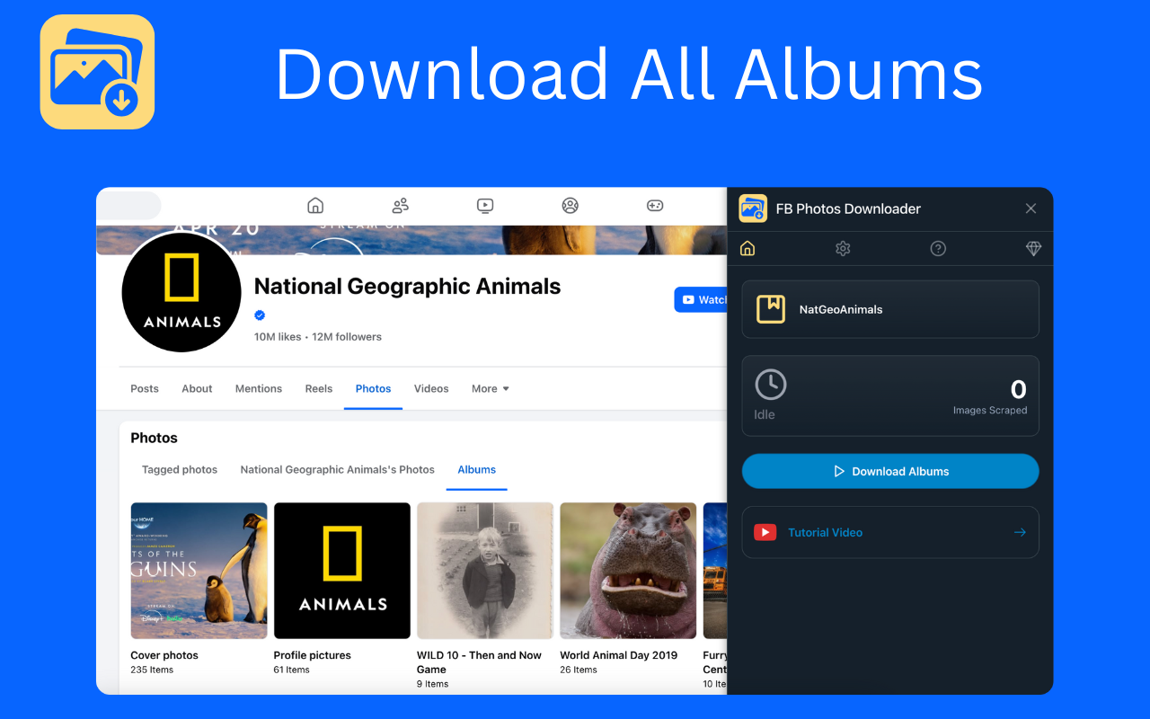 FB Photos Downloader - 截图 5