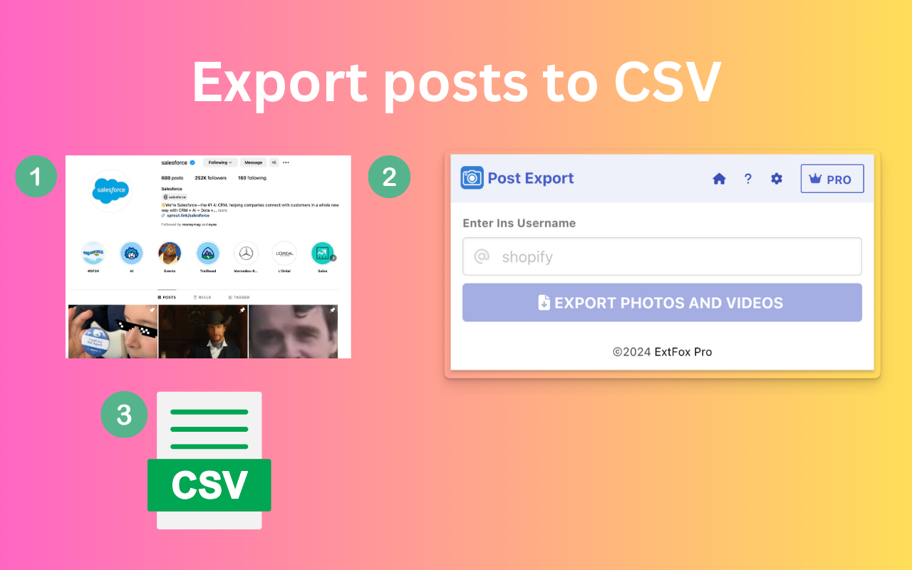 IG Post Export - 将 Ins 照片和视频导出为 CSV - 截图 3