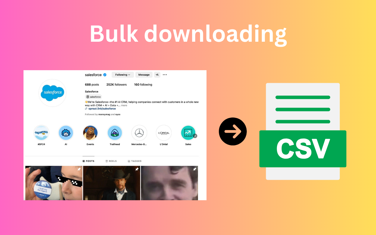 IG Post Export - 将 Ins 照片和视频导出为 CSV - 截图 4