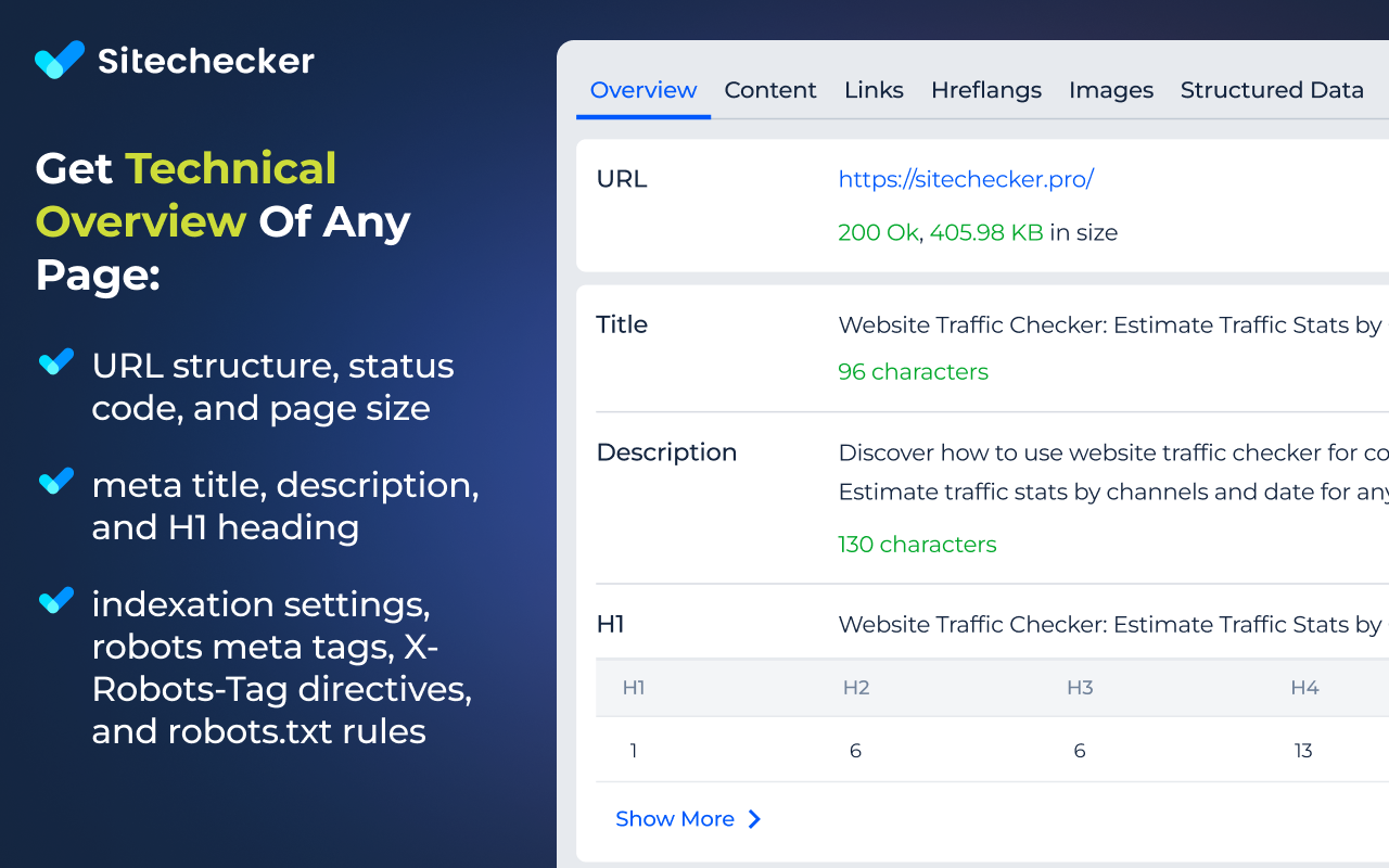 Website SEO Checker - 截图 5