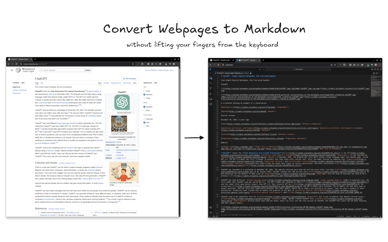 LLMFeeder - Web to Markdown Converter - 截图 1