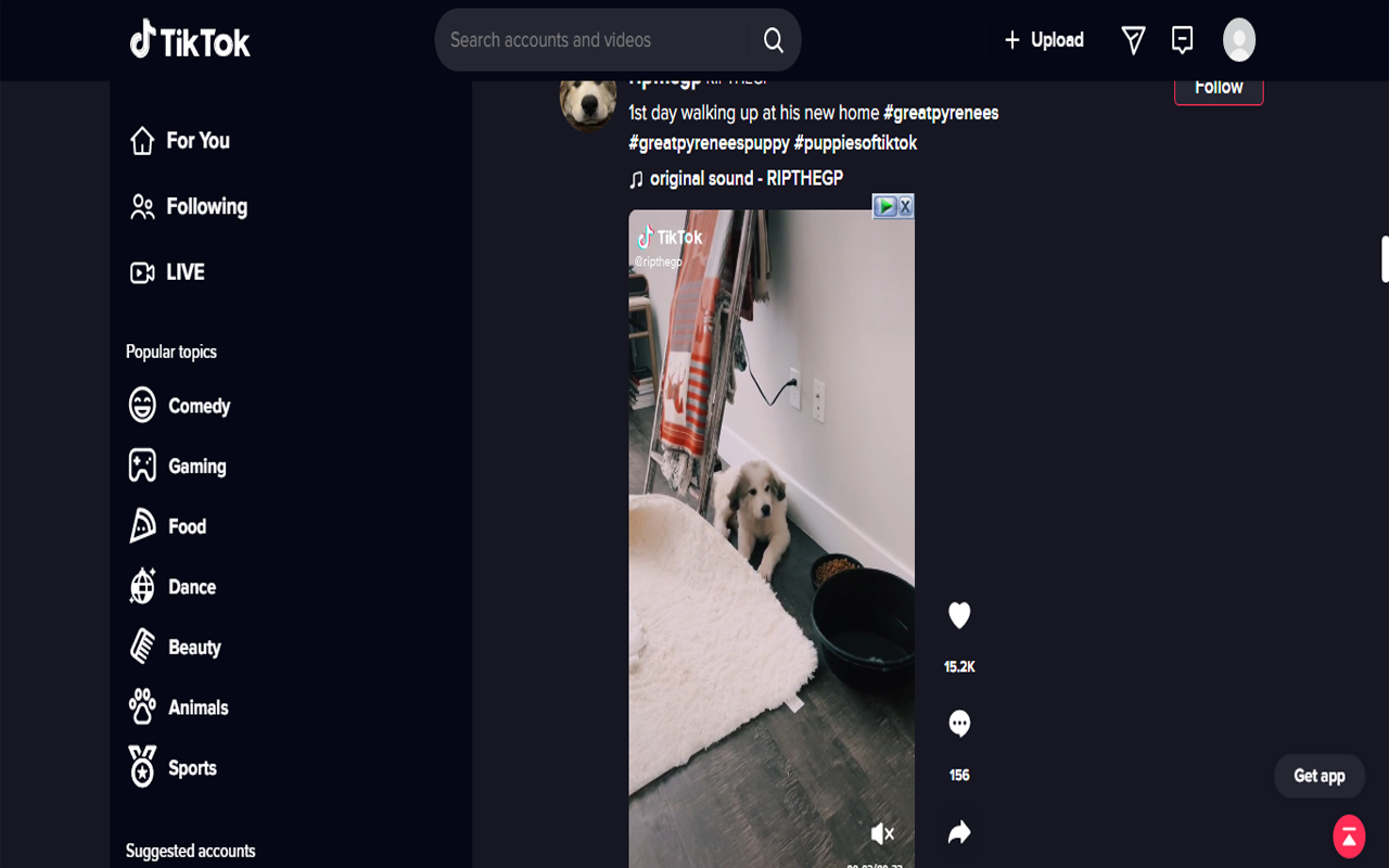 Video Feed Darkmode + Multi Column - 截图 2