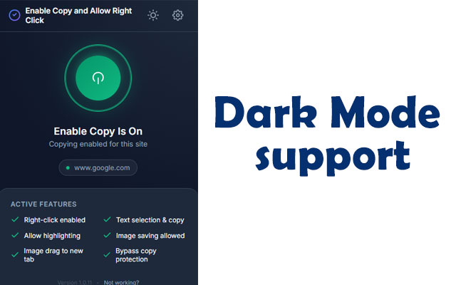 启用复制和允许右键点击 - 截图 3