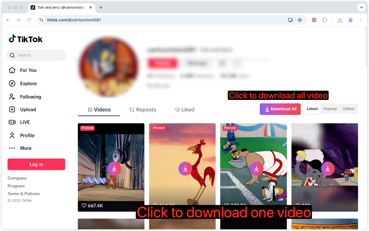 短视频下载器 - 截图 4