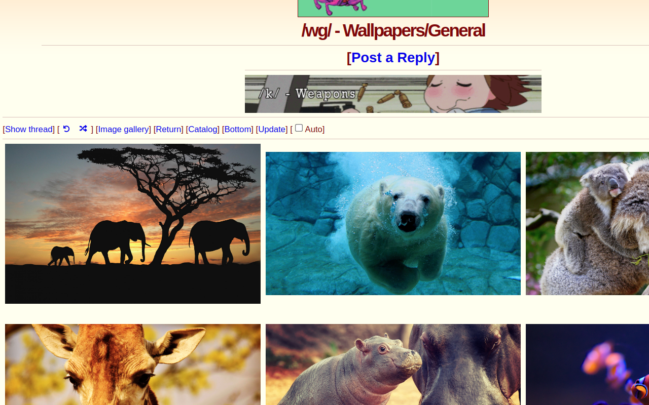 4chan gallery, slideshow, grid, expand images - 截图 3