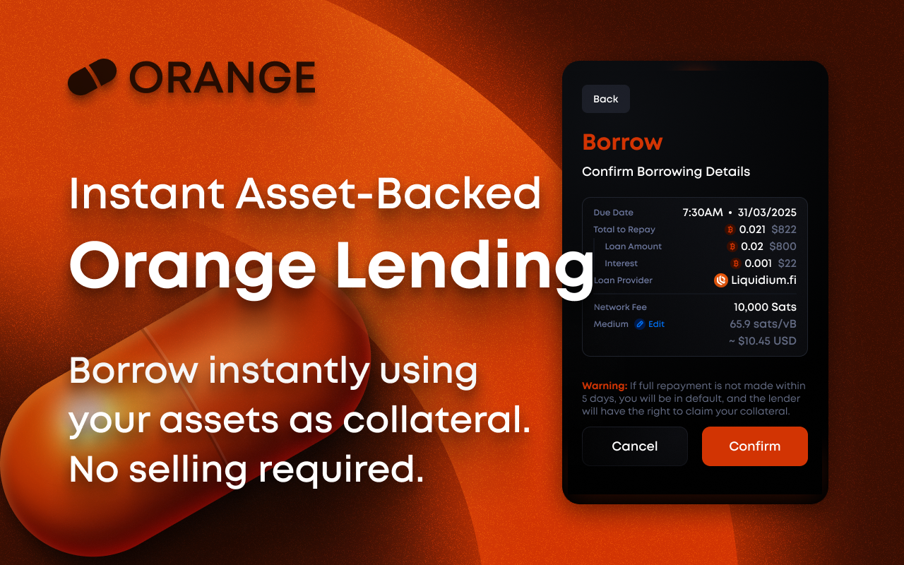 Orange Wallet - 截图 2
